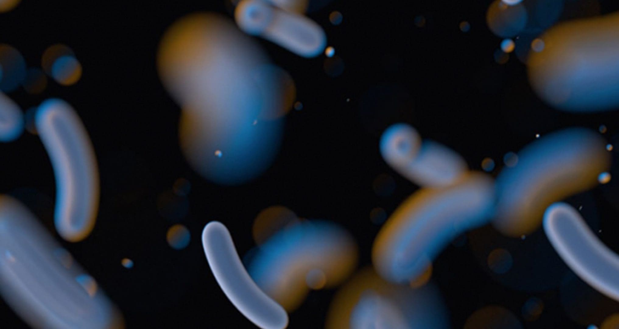bacteria in water zoomed in