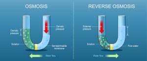 diagram showing osmosis and reverse osmosis