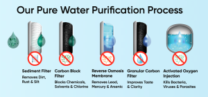 a graphic showing the steps in Pure Water WNY purification process